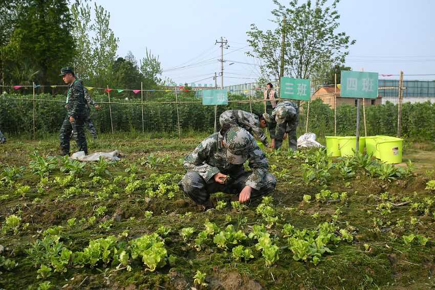 教育青少年的学校,少年心理学校