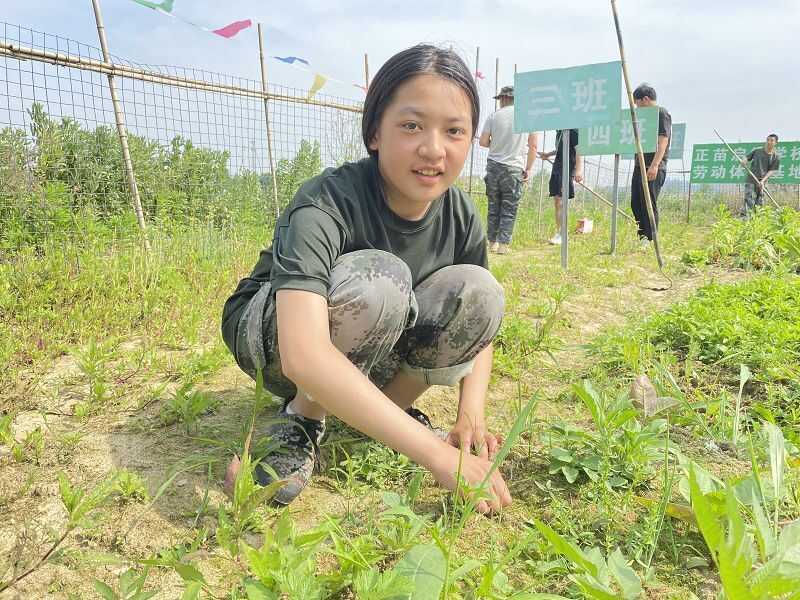 江苏镇江戒网瘾学校(图1)