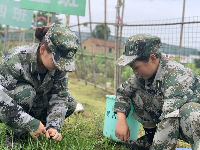 湖北恩施是否有小孩特训学校(图1)